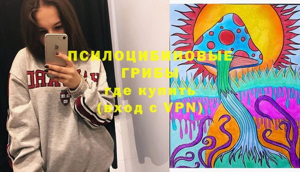 спиды Краснослободск