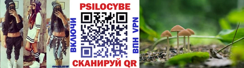 Псилоцибиновые грибы мицелий  Арск 